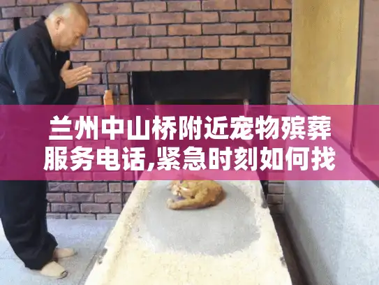 兰州中山桥附近宠物殡葬服务电话,紧急时刻如何找到可靠帮助?
