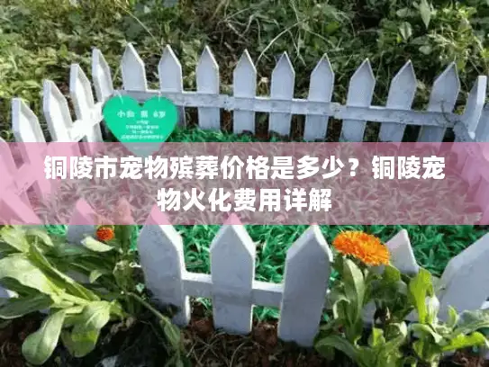 铜陵市宠物殡葬价格是多少？铜陵宠物火化费用详解