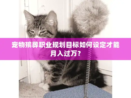 宠物殡葬职业规划目标如何设定才能月入过万？