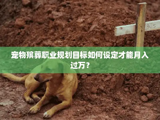 宠物殡葬职业规划目标如何设定才能月入过万？