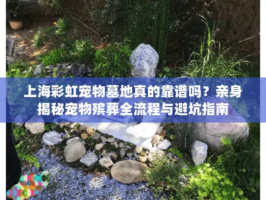 上海彩虹宠物墓地真的靠谱吗？亲身揭秘宠物殡葬全流程与避坑指南