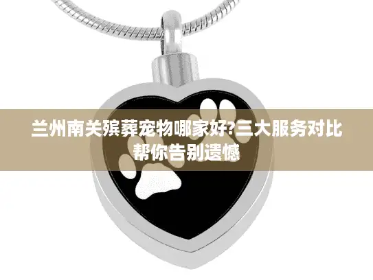 兰州南关殡葬宠物哪家好?三大服务对比帮你告别遗憾