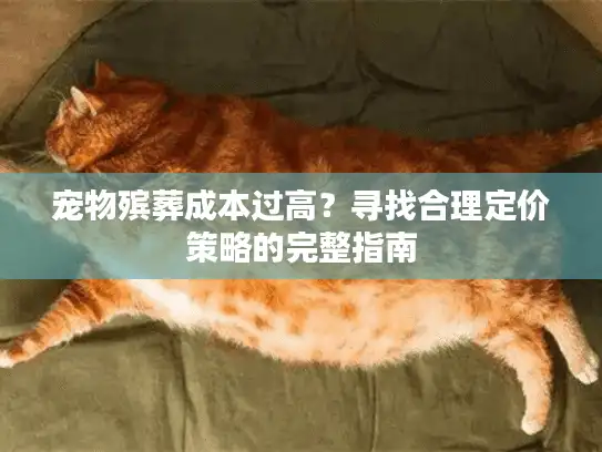 宠物殡葬成本过高？寻找合理定价策略的完整指南