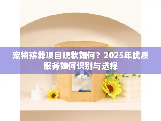 宠物殡葬项目现状如何？2025年优质服务如何识别与选择