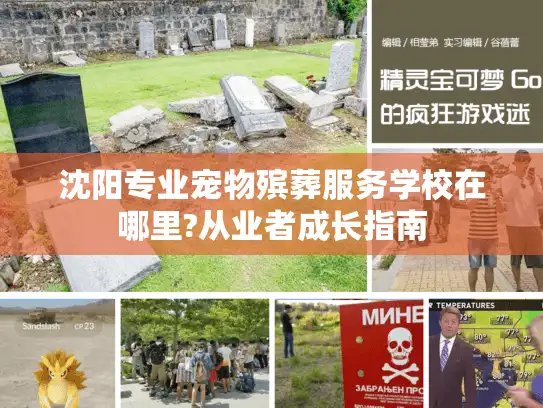 沈阳专业宠物殡葬服务学校在哪里?从业者成长指南