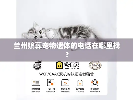 兰州殡葬宠物遗体的电话在哪里找？