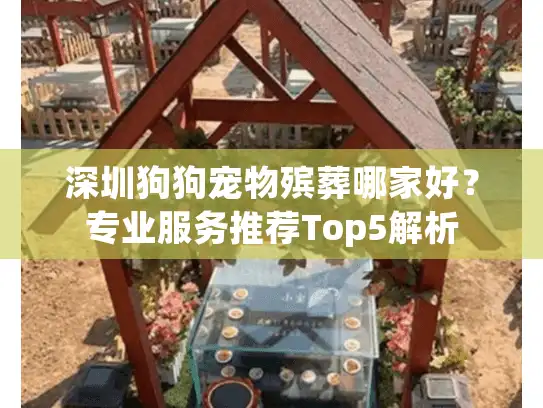 深圳狗狗宠物殡葬哪家好？专业服务推荐Top5解析