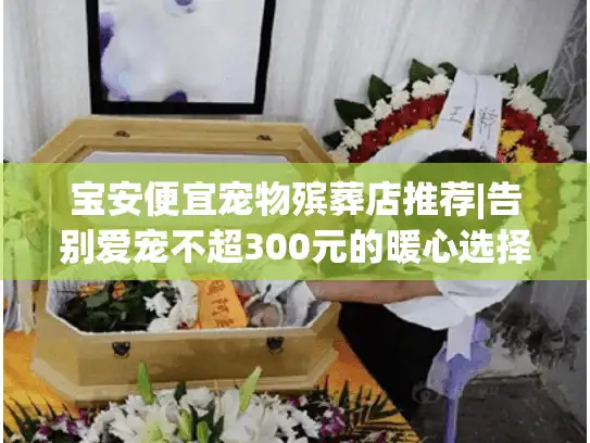 宝安便宜宠物殡葬店推荐|告别爱宠不超300元的暖心选择