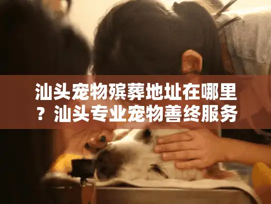 汕头宠物殡葬地址在哪里？汕头专业宠物善终服务全面指南