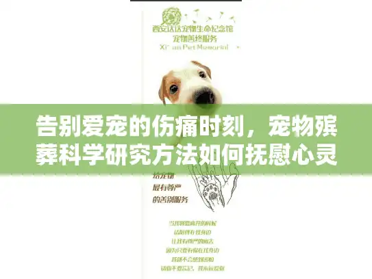 告别爱宠的伤痛时刻，宠物殡葬科学研究方法如何抚慰心灵？