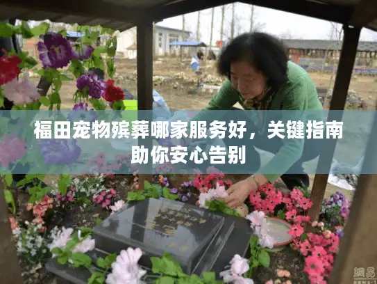 福田宠物殡葬哪家服务好，关键指南助你安心告别