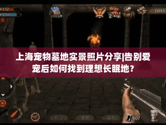 上海宠物墓地实景照片分享|告别爱宠后如何找到理想长眠地？