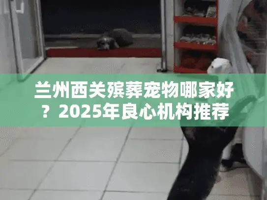 兰州西关殡葬宠物哪家好？2025年良心机构推荐