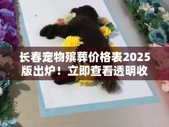 长春宠物殡葬价格表2025版出炉！立即查看透明收费清单