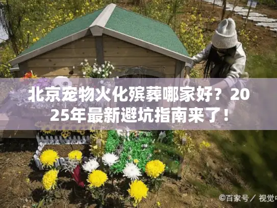 北京宠物火化殡葬哪家好？2025年最新避坑指南来了！