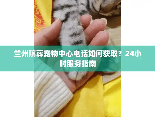 兰州殡葬宠物中心电话如何获取？24小时服务指南