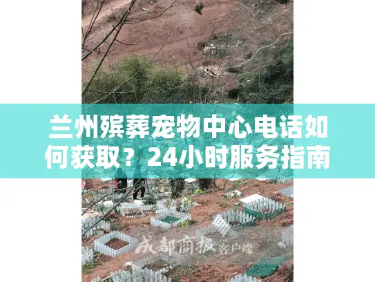兰州殡葬宠物中心电话如何获取？24小时服务指南
