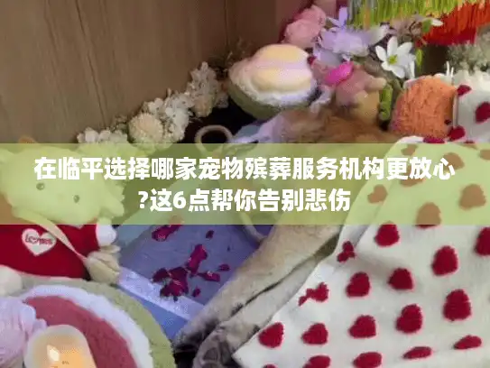 在临平选择哪家宠物殡葬服务机构更放心?这6点帮你告别悲伤