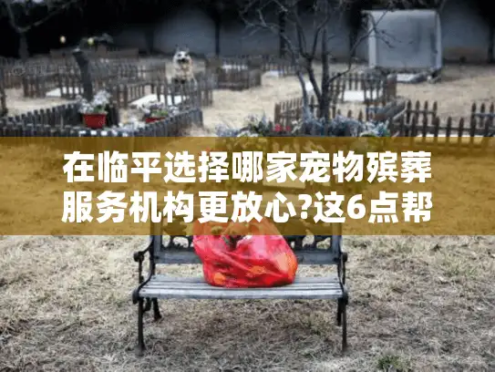 在临平选择哪家宠物殡葬服务机构更放心?这6点帮你告别悲伤
