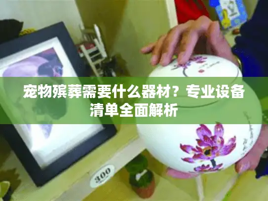 宠物殡葬需要什么器材？专业设备清单全面解析