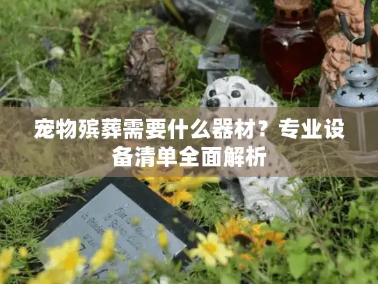 宠物殡葬需要什么器材？专业设备清单全面解析