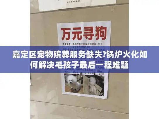 嘉定区宠物殡葬服务缺失?锅炉火化如何解决毛孩子最后一程难题