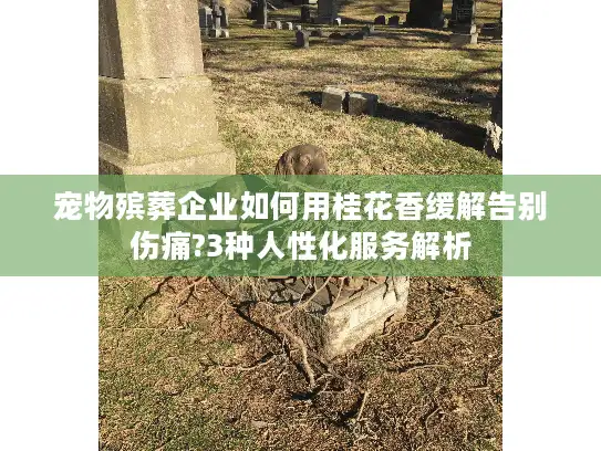 宠物殡葬企业如何用桂花香缓解告别伤痛?3种人性化服务解析