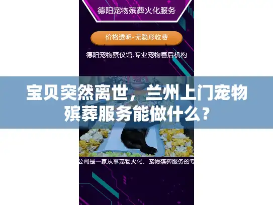 宝贝突然离世，兰州上门宠物殡葬服务能做什么？