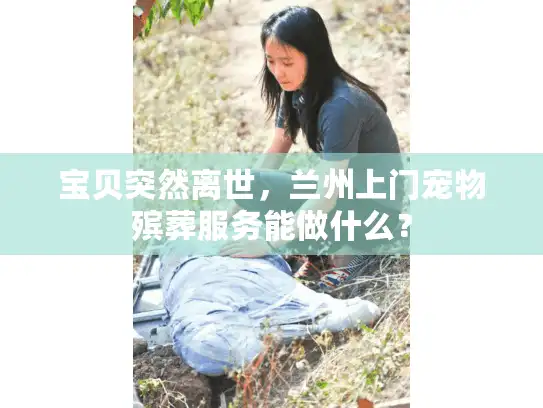 宝贝突然离世，兰州上门宠物殡葬服务能做什么？