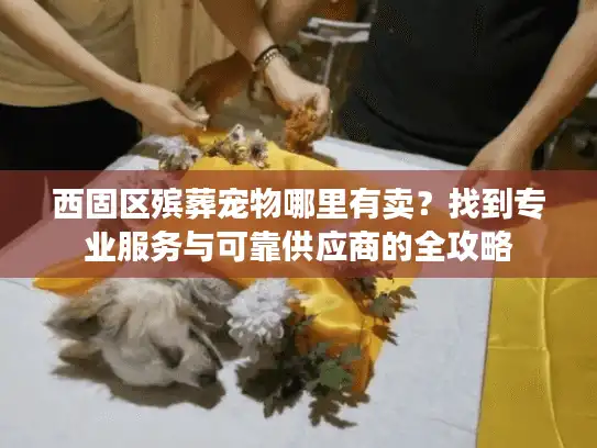 西固区殡葬宠物哪里有卖？找到专业服务与可靠供应商的全攻略