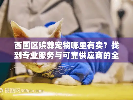 西固区殡葬宠物哪里有卖？找到专业服务与可靠供应商的全攻略