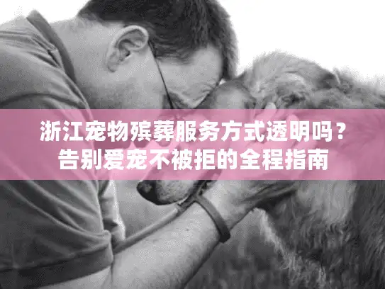 浙江宠物殡葬服务方式透明吗？告别爱宠不被拒的全程指南