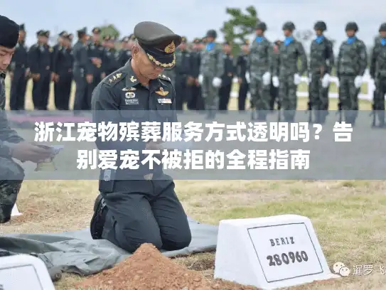 浙江宠物殡葬服务方式透明吗？告别爱宠不被拒的全程指南