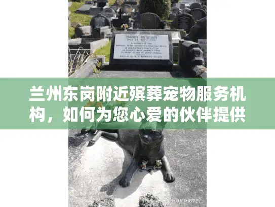 兰州东岗附近殡葬宠物服务机构，如何为您心爱的伙伴提供温暖告别
