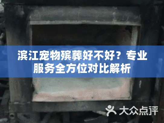 滨江宠物殡葬好不好？专业服务全方位对比解析