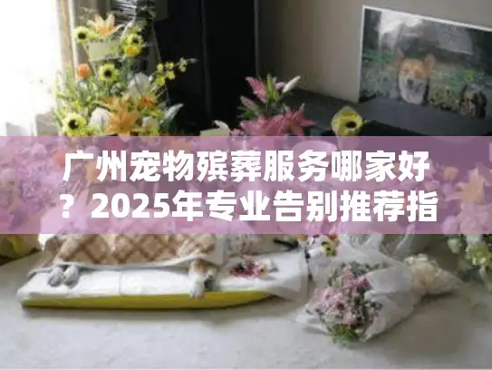 广州宠物殡葬服务哪家好？2025年专业告别推荐指南
