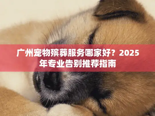 广州宠物殡葬服务哪家好？2025年专业告别推荐指南