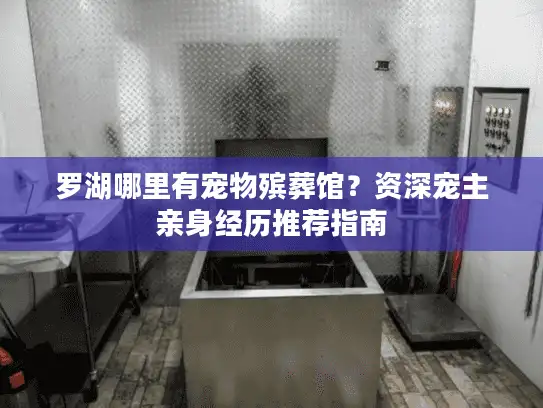 罗湖哪里有宠物殡葬馆？资深宠主亲身经历推荐指南