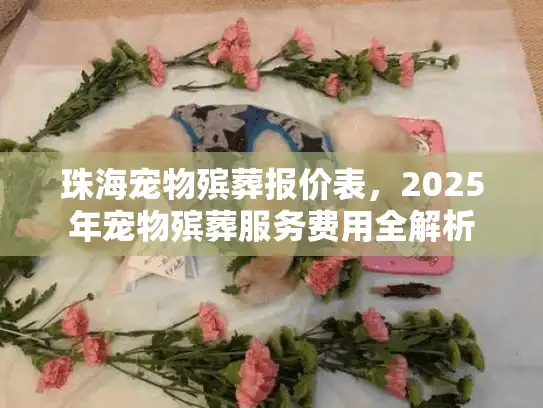 珠海宠物殡葬报价表，2025年宠物殡葬服务费用全解析