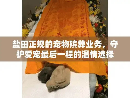 盐田正规的宠物殡葬业务，守护爱宠最后一程的温情选择