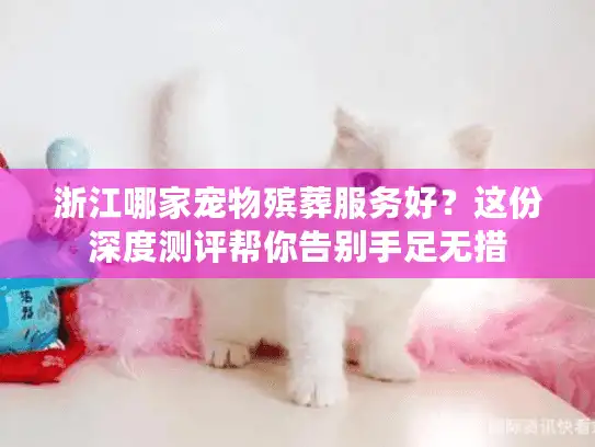 浙江哪家宠物殡葬服务好？这份深度测评帮你告别手足无措