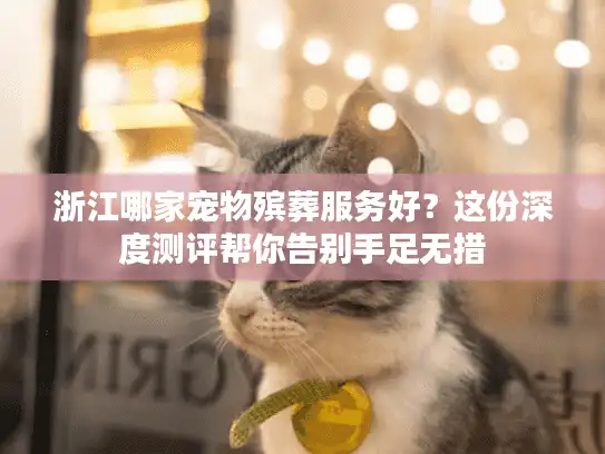 浙江哪家宠物殡葬服务好？这份深度测评帮你告别手足无措