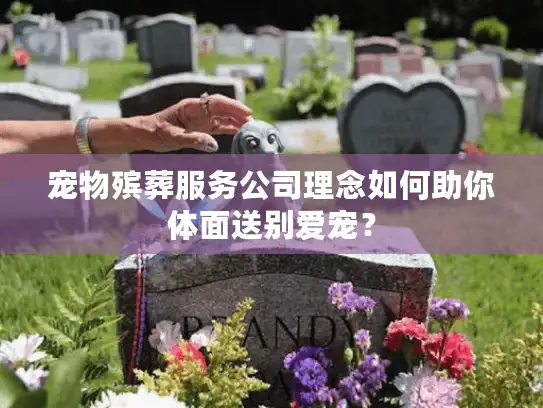 宠物殡葬服务公司理念如何助你体面送别爱宠？