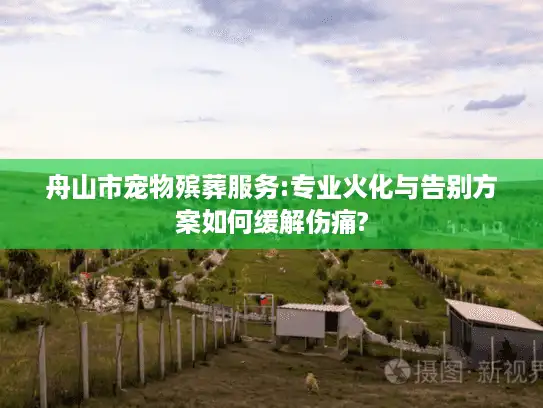 舟山市宠物殡葬服务:专业火化与告别方案如何缓解伤痛?