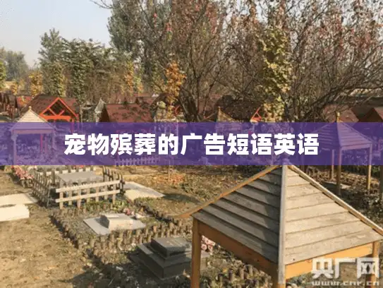 宠物殡葬的广告短语英语