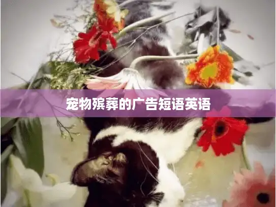宠物殡葬的广告短语英语