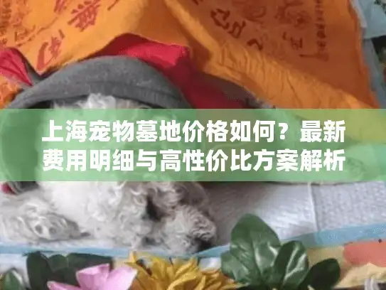 上海宠物墓地价格如何？最新费用明细与高性价比方案解析