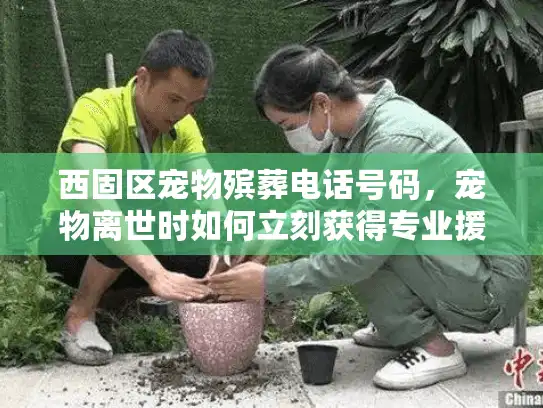 西固区宠物殡葬电话号码，宠物离世时如何立刻获得专业援助?