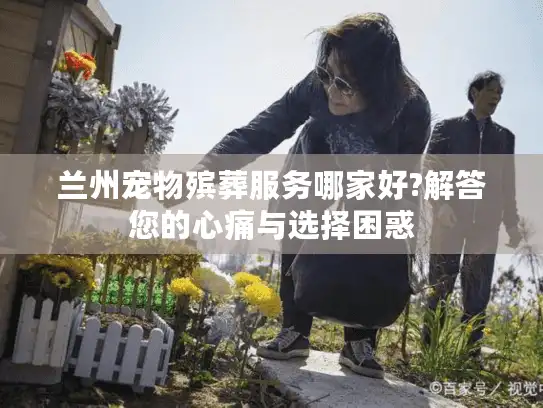 兰州宠物殡葬服务哪家好?解答您的心痛与选择困惑