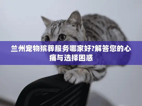 兰州宠物殡葬服务哪家好?解答您的心痛与选择困惑